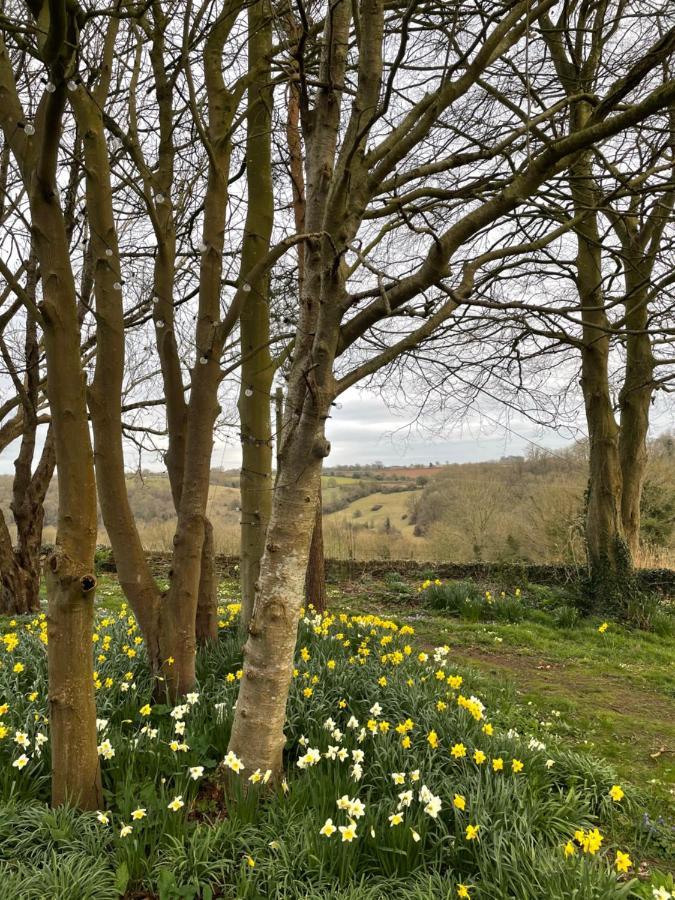 Hill House B & B & Luxury Shepherds Huts Castle Combe Exterior foto